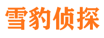 双清市婚姻调查